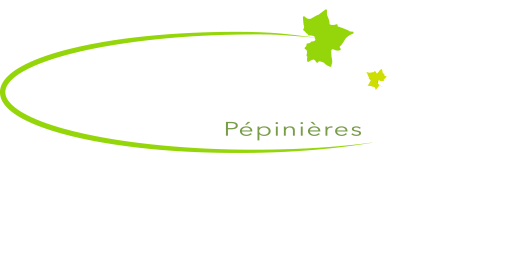 logo pied de page Pépinières Thevenet & Fils, Pépinières Thevenet & Fils