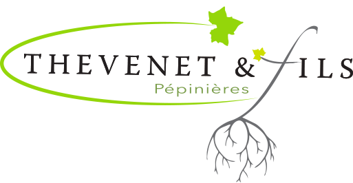 logo Pépinières Thevenet & Fils, Pépinières Thevenet & Fils