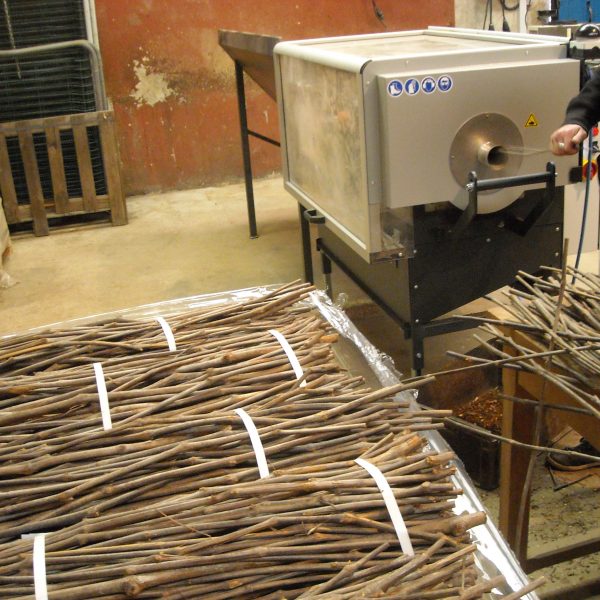 Pépinières Thevenet & Fils, Pépinières Thevenet & Fils, 